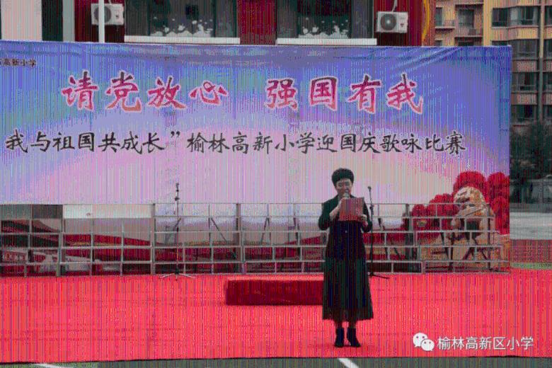 忍者鲨鱼